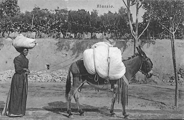 ab7205 -  CARTOLINA  D'EPOCA - Savona Provincia - ALASSIO 1925