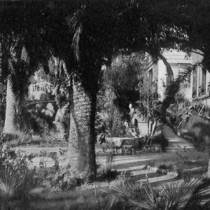 ab7229 -  CARTOLINA  D'EPOCA - Savona Provincia - ALASSIO