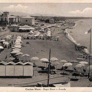 ac7822 - CARTOLINA D'EPOCA - Livorno Provincia - Cecina