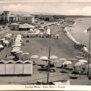 ac7827 - CARTOLINA D'EPOCA - Livorno Provincia - Cecina