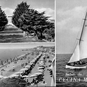 ac7832 - CARTOLINA D'EPOCA - Livorno Provincia - Cecina  1964