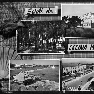 ac7835 - CARTOLINA D'EPOCA - Livorno Provincia - Cecina  1960