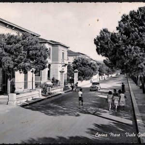ac7838 - CARTOLINA D'EPOCA - Livorno Provincia - Cecina  1955