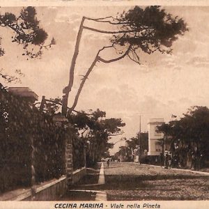 ac7851 - CARTOLINA D'EPOCA - Livorno Provincia - Cecina Marina  1925