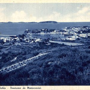 ab8298 - CARTOLINA  D'EPOCA - Napoli  Provincia  - ISCHIA