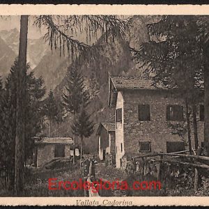 ae1113 - CARTOLINA  D'EPOCA - Belluno Provincia - Calalzo di Cadore