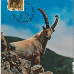 63810 - SWITZERLAND - POSTAL HISTORY - MAXIMUM CARD 1967 - animals PRO JUVENTUTE