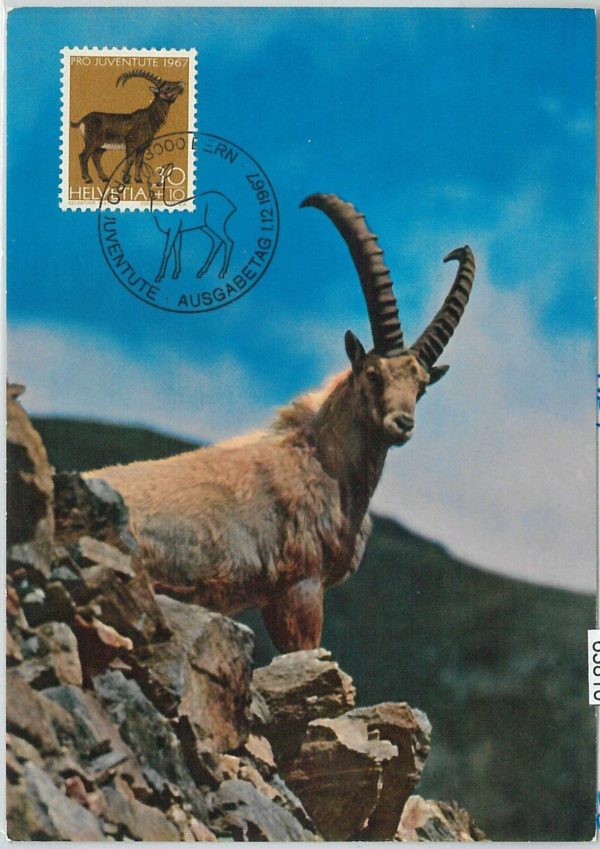 63810 - SWITZERLAND - POSTAL HISTORY - MAXIMUM CARD 1967 - animals PRO JUVENTUTE