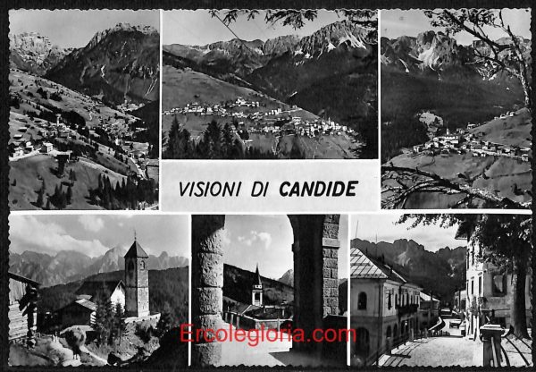 ae1115 - CARTOLINA  D'EPOCA - Belluno Provincia - Candide  1958