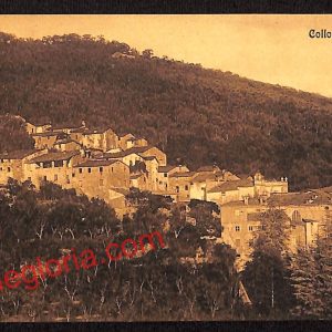 ah8205 - CARTOLINA D'EPOCA - Pistoia Provincia - Collodi