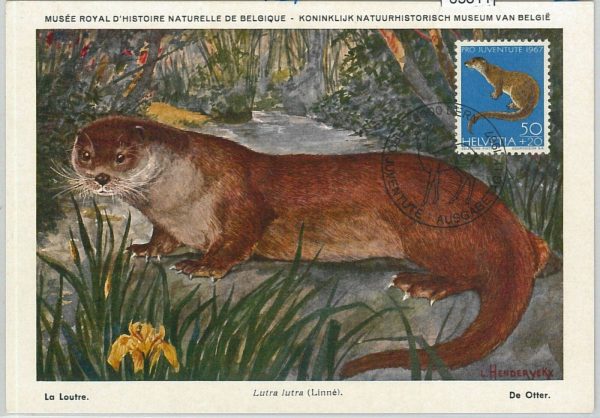 63811 - SWITZERLAND - POSTAL HISTORY: MAXIMUM CARD 1967 -  animals PRO JUVENTUTE