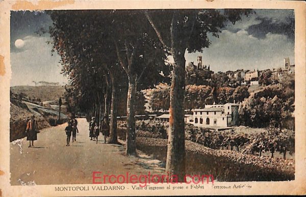 ad6988 - CARTOLINA D'EPOCA - Pisa Provincia - Montopoli   Valdarno