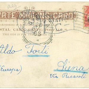 P4105 - USA   14.10.1901 SCOTT 295 PAN AMERICANEXPOPSITION ISSUE 2 CT.