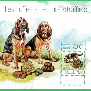 A8833 - TOGO  -ERROR MISPERF  Stamp Sheet - 2013 DOGS  TRUFFIERS plants