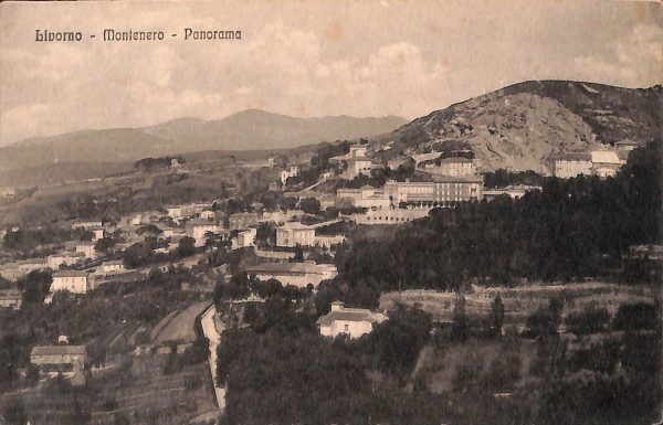 ac7406 - CARTOLINA D'EPOCA - Livorno Città