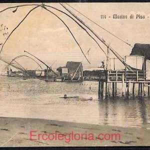 ad6949 - CARTOLINA D'EPOCA - Pisa Provincia - Marina di Pisa  1914