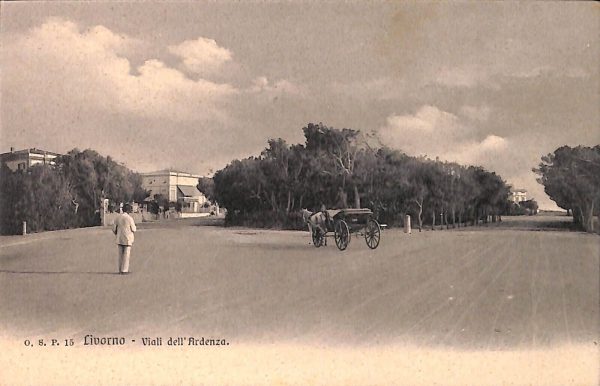 ac7408 - CARTOLINA D'EPOCA - Livorno Città - Viali dell' Ardenza