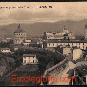 ad0097 - CARTOLINA D'epoca - Pisa Città - Panorama Torre dell' Amanzatore