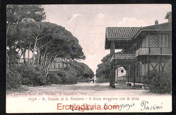 ad0119 - CARTOLINA D'epoca - Pisa Città - R. Tenuta di S. Rossore