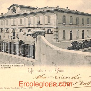 ad0123 - CARTOLINA D'epoca - Pisa Città - Scuola di Medicina Veterinaria