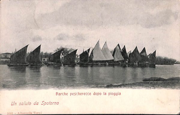 ab7742 -  CARTOLINA  D'EPOCA - Savona Provincia - SPOTORNO