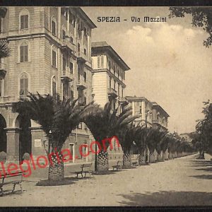 ag5563 - CARTOLINA D'EPOCA - La Spezia Città - Via Mazzini