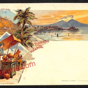 ah3528  - CARTOLINA D'EPOCA - Napoli Citta - Panorama