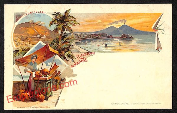 ah3528  - CARTOLINA D'EPOCA - Napoli Citta - Panorama
