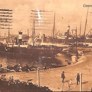 ac7250 - CARTOLINA D'EPOCA - Livorno Città - Il Porto  1926
