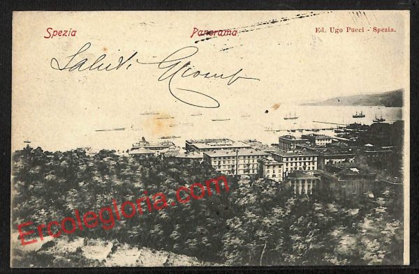 ag5586 - CARTOLINA D'EPOCA - La Spezia Città - Panorama