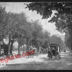 ah8521 - CARTOLINA D'EPOCA - Pistoia Provincia - Montecatini