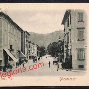 ah8533 - CARTOLINA D'EPOCA - Pistoia Provincia - Montecatini