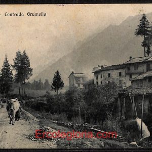 ae1673 - CARTOLINA  D'EPOCA - Bergamo  Provincia - Schilpario   1925
