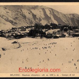 ae1677 - CARTOLINA  D'EPOCA - Bergamo  Provincia - Selvino  1932