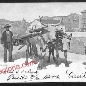 ah3558 - CARTOLINA D'EPOCA - Napoli Città - Costumi Napoletani