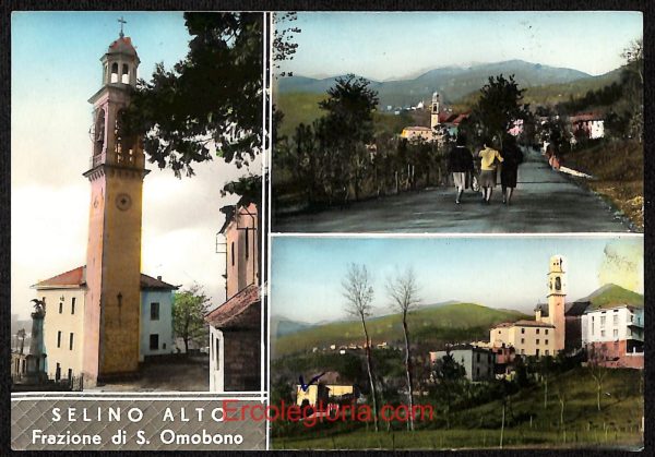 ae1681 - CARTOLINA  D'EPOCA - Bergamo  Provincia - Selino