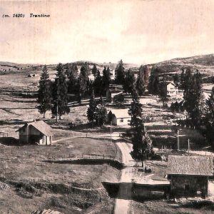 ab6023 - CARTOLINA  D'EPOCA - Trento Provincia : VEZZENE