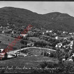 ae2656 - CARTOLINA  D'EPOCA - Bologna Provincia - Castiglione del Pepoli