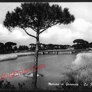 ag2307 - CARTOLINA D'EPOCA - Grosseto Provincia - Marina di Grosseto  1967