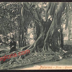 ah4964 - CARTOLINA D'EPOCA - Palermo Città - Giardino Garibaldi