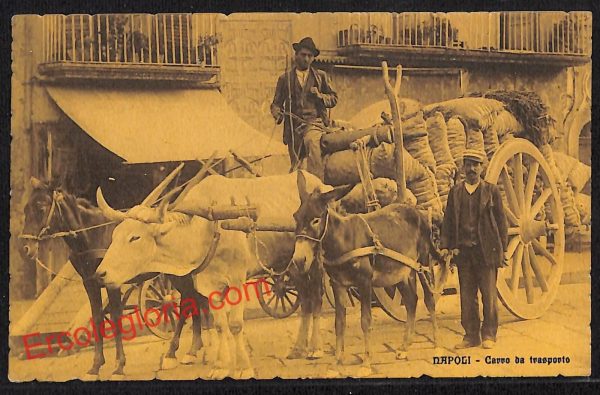 ah3575 - CARTOLINA D'EPOCA - Napoli Città - Carro da trasporto