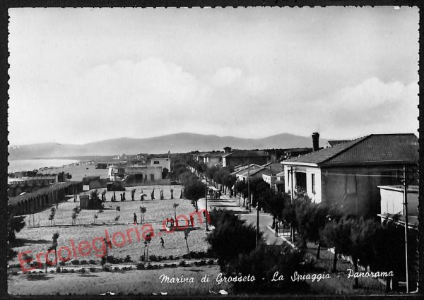 ag2311 - CARTOLINA D'EPOCA - Grosseto Provincia - Marina di Grosseto  1954
