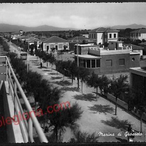 ag2313 - CARTOLINA D'EPOCA - Grosseto Provincia - Marina di Grosseto  1953