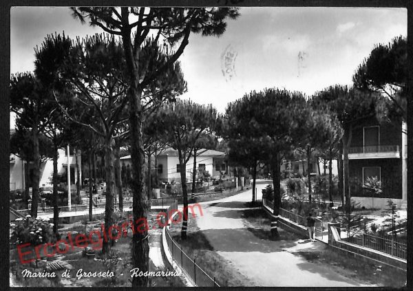 ag2317 - CARTOLINA D'EPOCA - Grosseto Provincia - Marina di Grosseto  1960