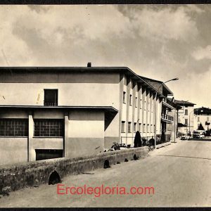 ae1718 - CARTOLINA  D'EPOCA - Bergamo  Provincia - Terno D' Isola