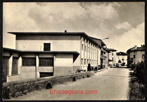ae1718 - CARTOLINA  D'EPOCA - Bergamo  Provincia - Terno D' Isola