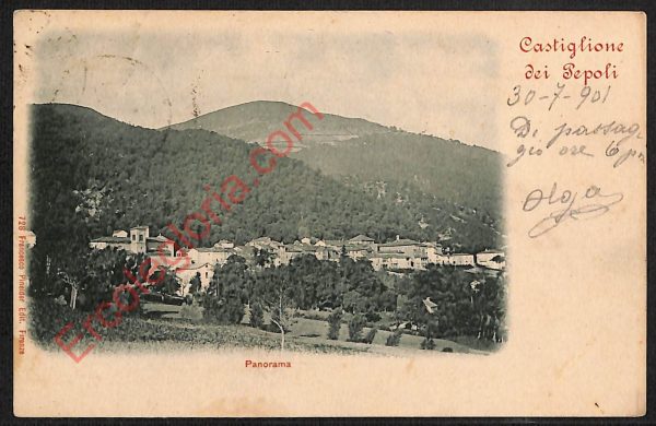 ae2670 - CARTOLINA  D'EPOCA - Bologna Provincia - Castiglione del Pepoli  1901