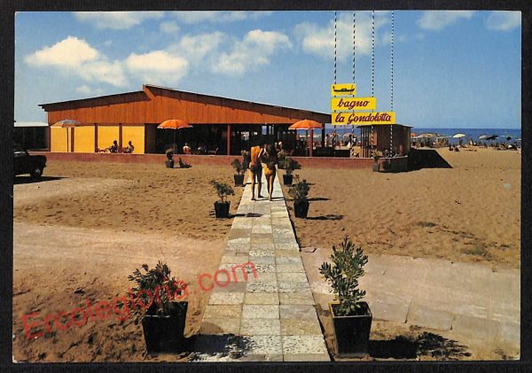 ag2330 - CARTOLINA D'EPOCA - Grosseto Provincia - Marina di Grosseto  1960