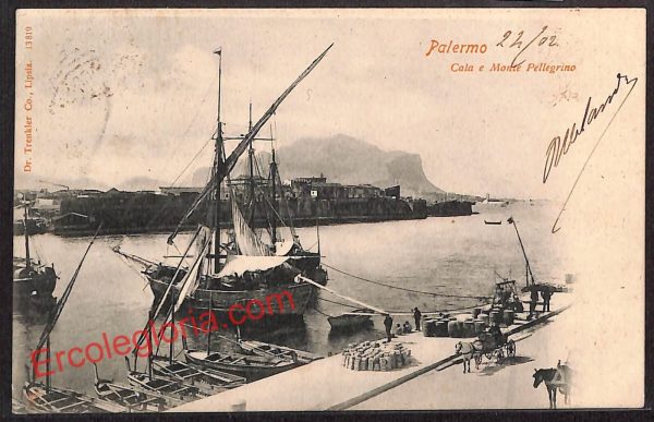 ah4977 - CARTOLINA D'EPOCA - Palermo Città - Zucco