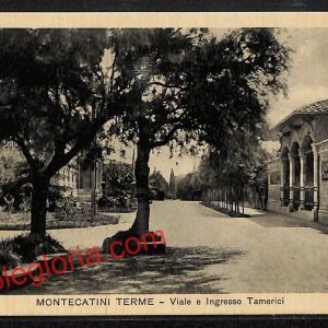ah8581 - CARTOLINA D'EPOCA - Pistoia Provincia - Montecatini